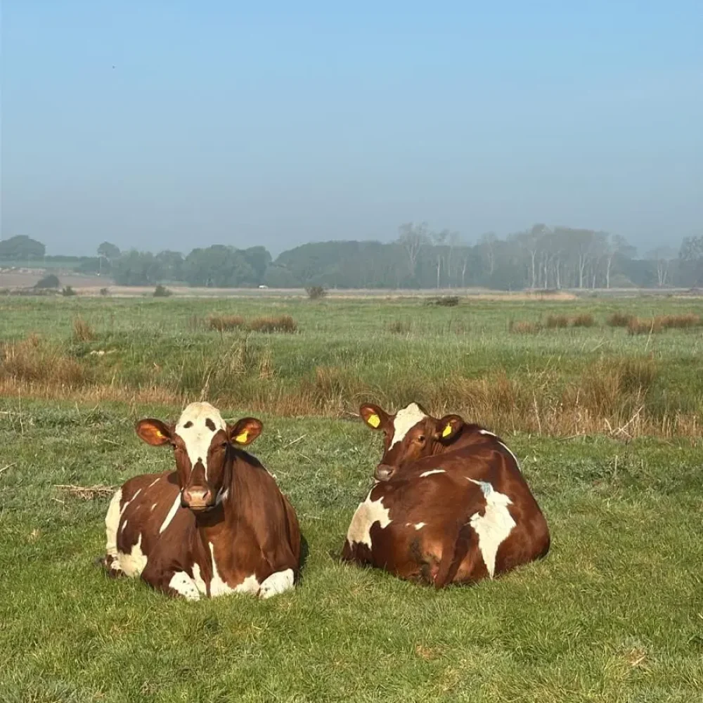 Regenerative Farming Images Farmhouse (1) Regenerative Farming Images Farmhouse (1)