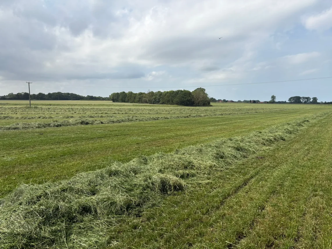 Regenerative Farming Images Farmhouse (10) Regenerative Farming Images Farmhouse (10)