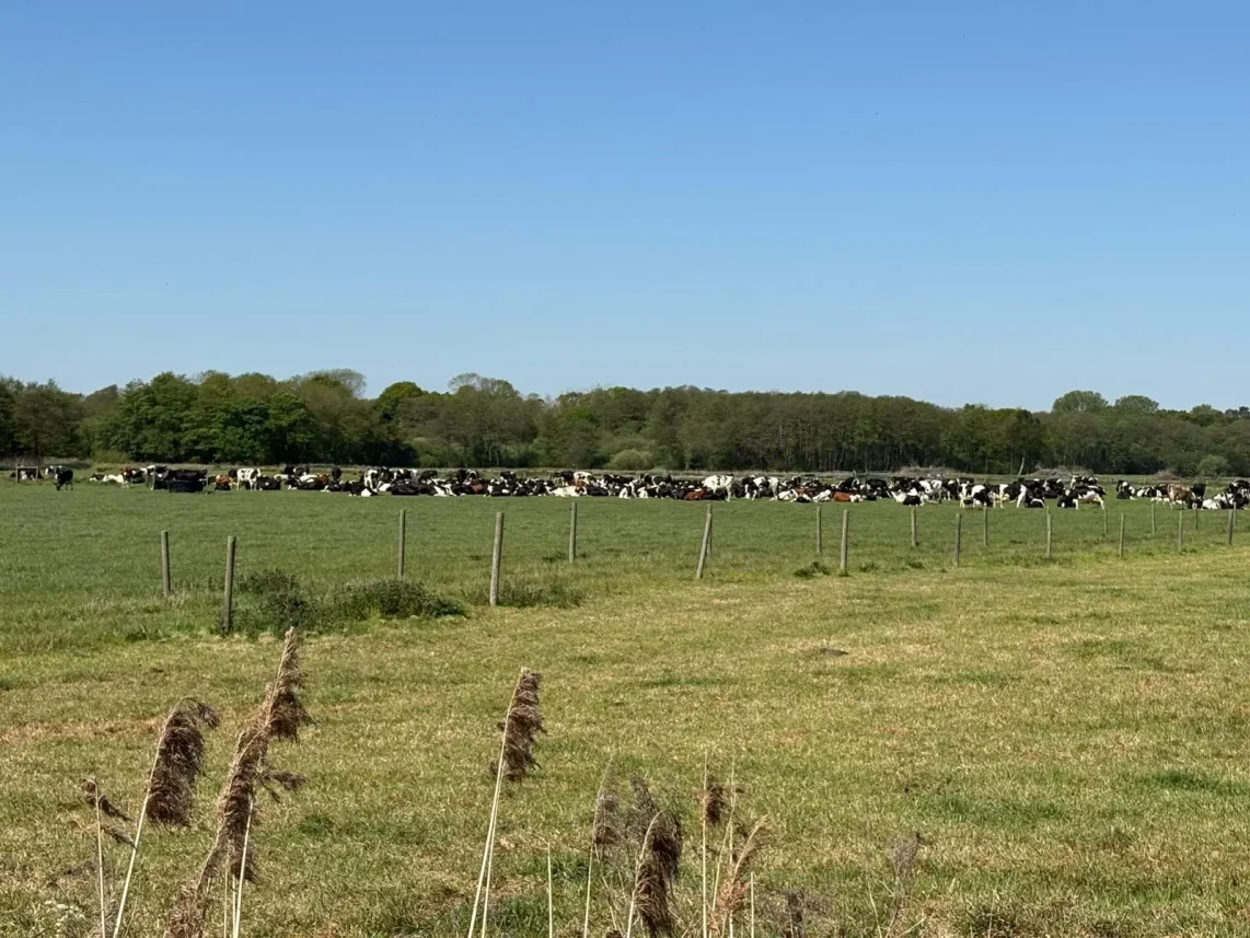 Regenerative Farming Images Farmhouse (4) Regenerative Farming Images Farmhouse (4)